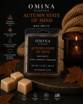 Autumn State of Mind